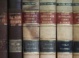 Image of Antique Law Books